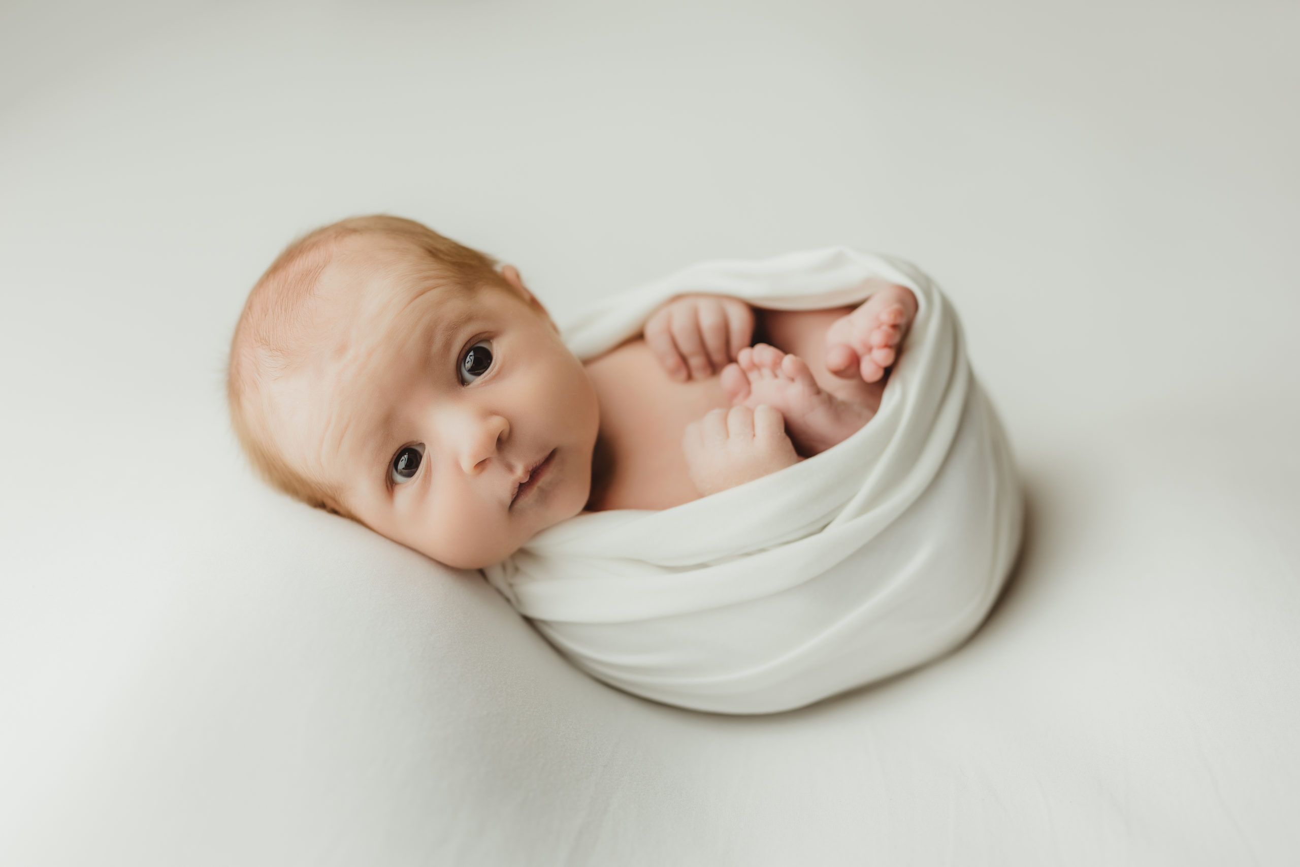 Newborn Photography Wrapped Pose Amanda Steffke Photography